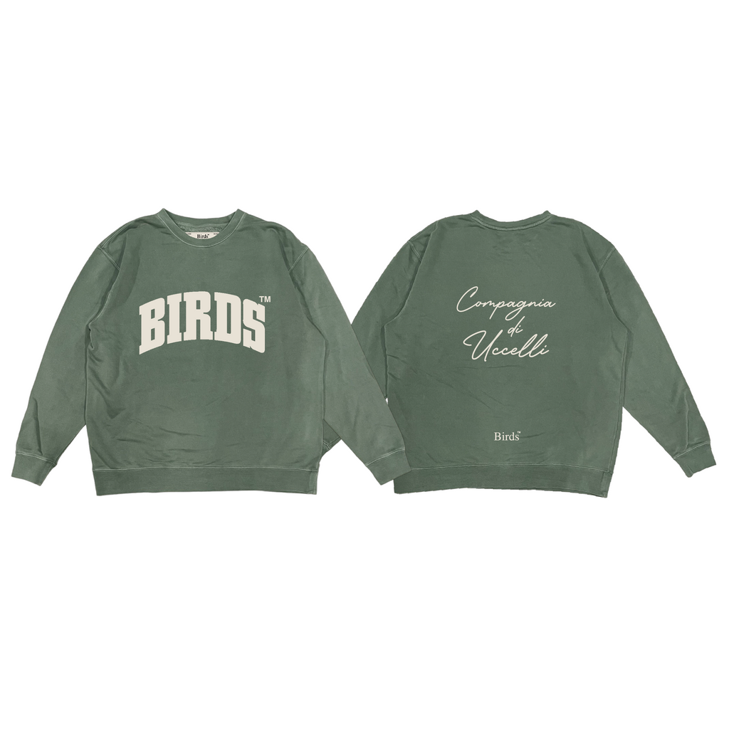 "Varsity" Sage Pigment-Dyed Crewneck