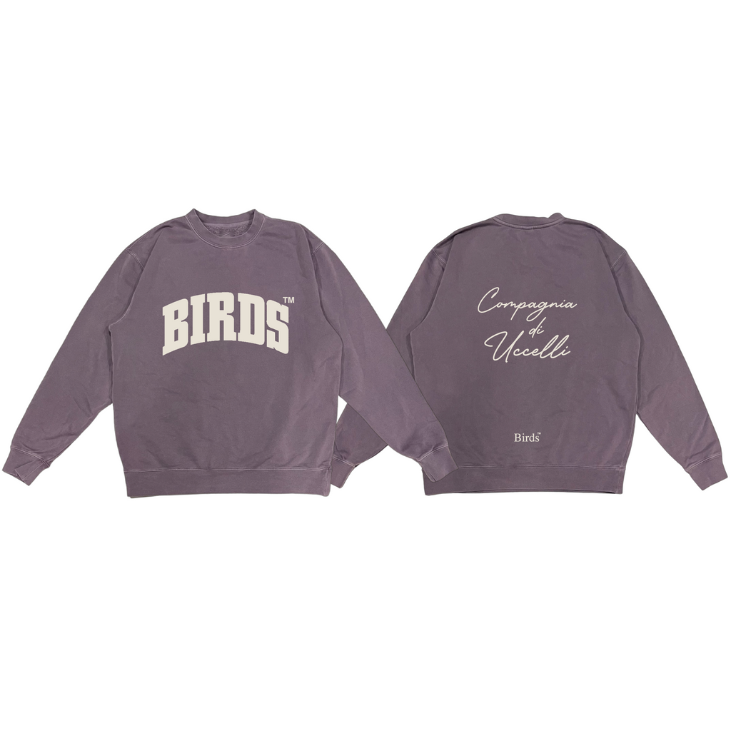 "Varsity" Plum Pigment-Dyed Crewneck